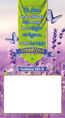 Almanaque Salmos Papel 1/6